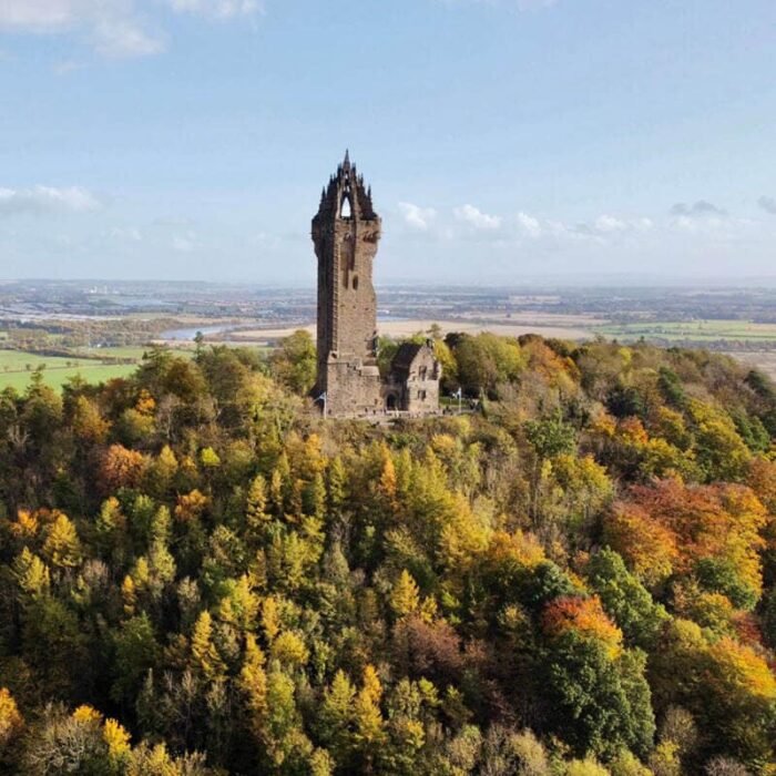 Surname Origin & Meaning Research Uncovers Your Ancestral Story